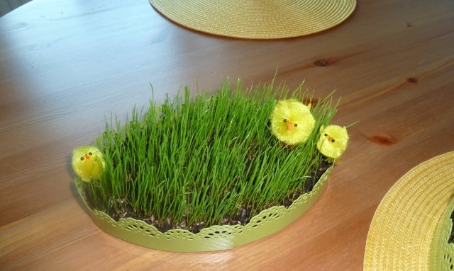 Finlandia-Pasqua
