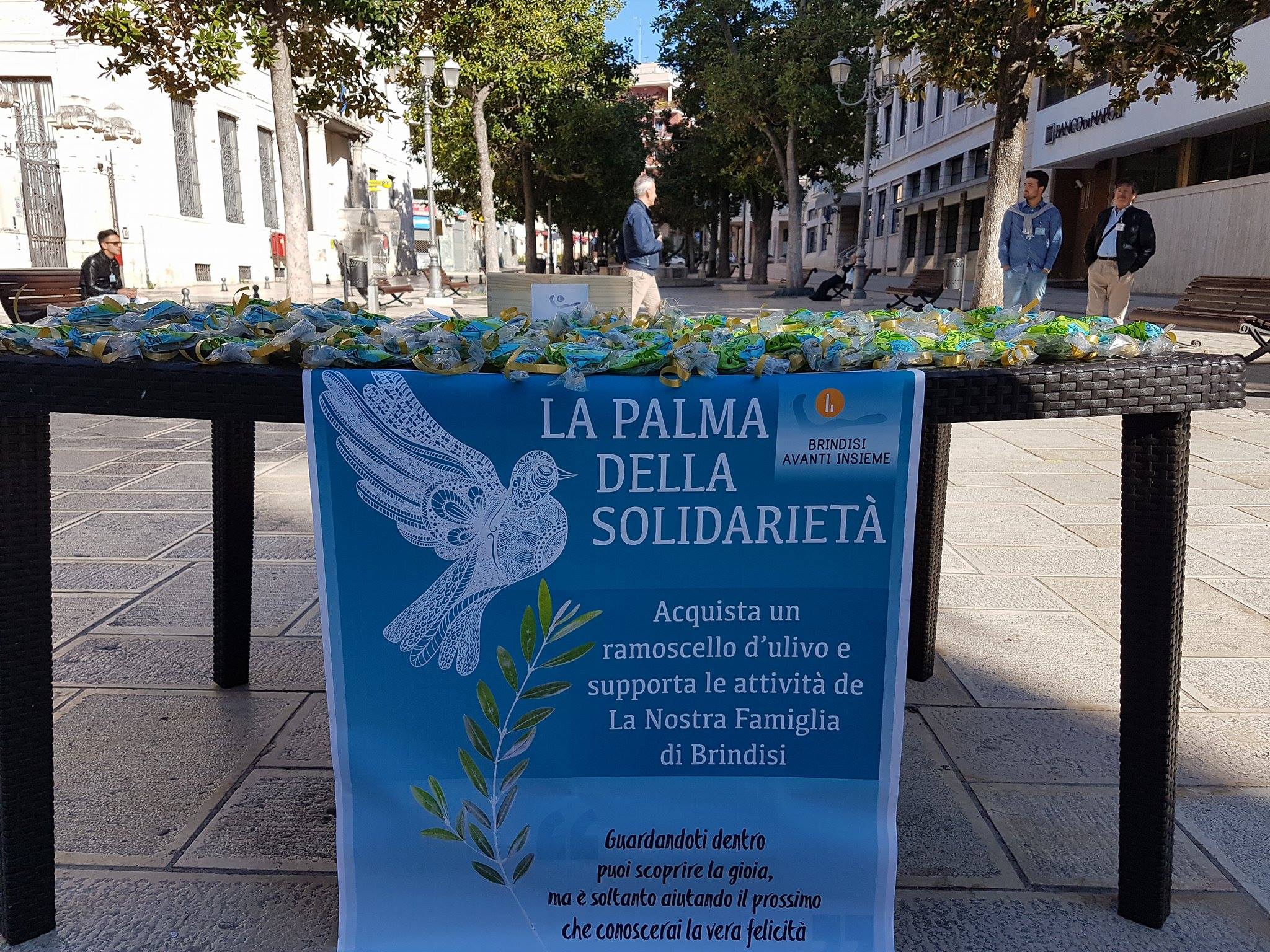 palme della solidarietà2