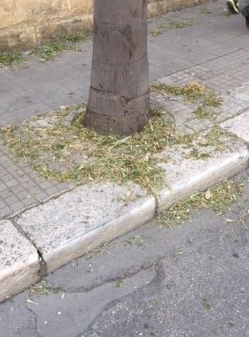 corso roma1