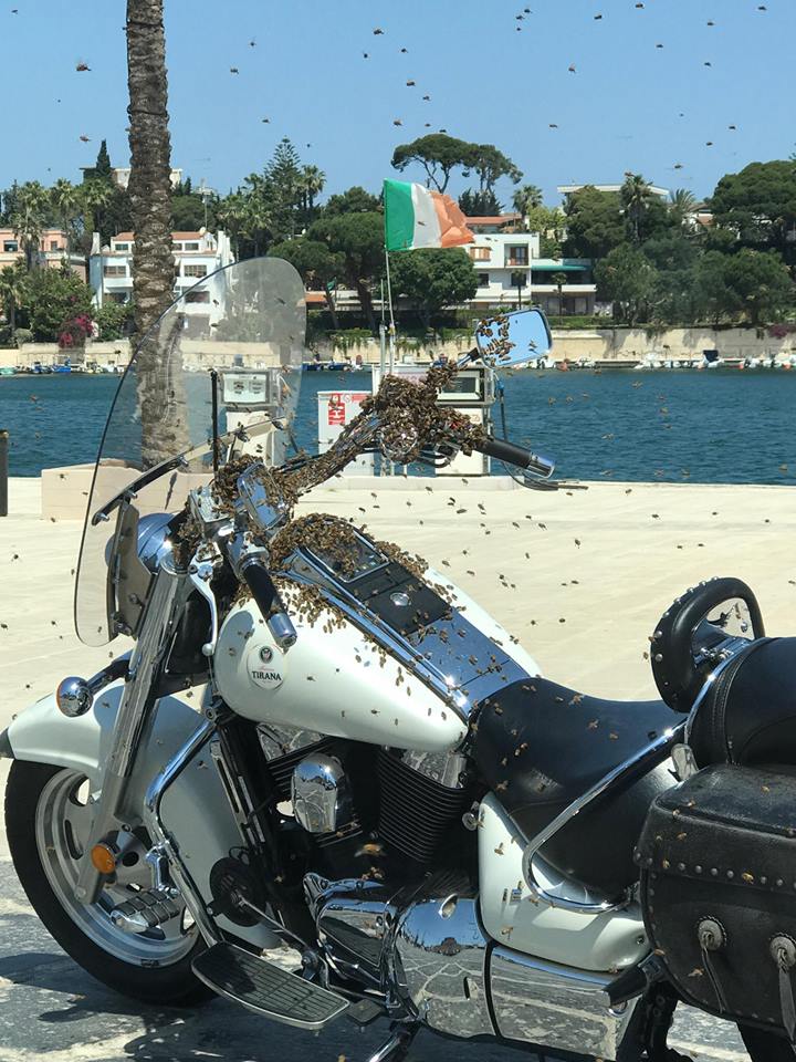 moto con api 2