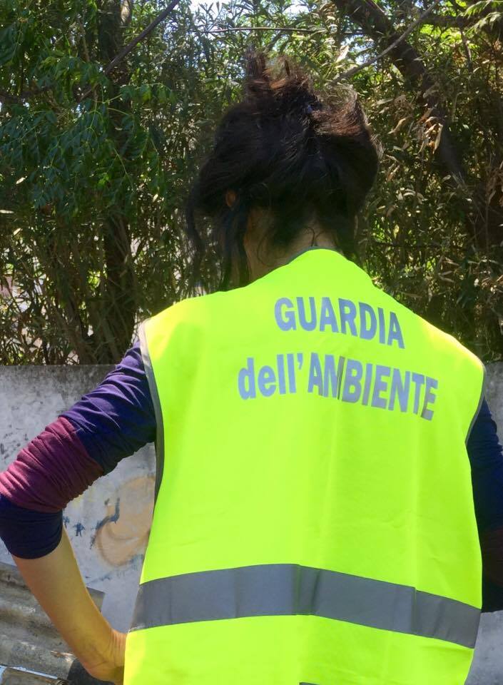 guardia dell'ambiente