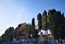 Asl via Napoli