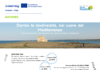 Progetto NATURES: nella Riserva di Torre Guaceto parte la campagna di sensibilizzazione per specie e habitat prioritari. Otto appuntamenti tra trekking, bici, birdwatching e snorkeling