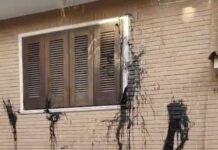Brindisi, catrame contro la casa di un paziente oncologico: la sorella presenta denuncia