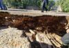 Maltempo a Fasano: chiusura temporanea della strada comunale Egnazia per dissesto del manto stradale