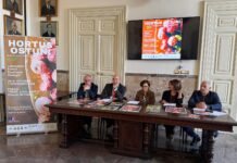 Hortus Ostuni, l’edizione autunnale si trasferisce al Parco “Prof. Luigi Greco”. Oltre 50 espositori da tutta Italia, incontri, presentazioni e laboratori